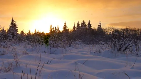 Snowfall Sunset Stock Footage 1183570