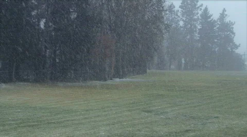 Snowfall-timelapse-01 Stock-Footage 297521