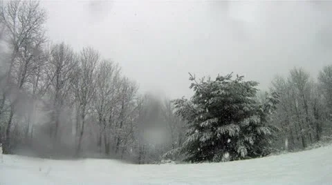 Snowfall Timelapse Vídeo Stock 22239065