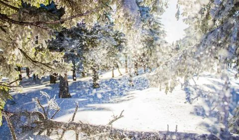 Snowfall on top of the mountain Foto stock