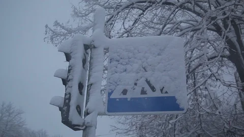 Snowfall. a traffic light covered with snow. sign of a pedestrian crossing. Video stock 126596393
