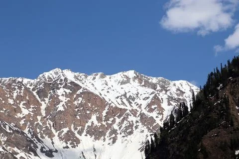 Snowfall Tranquility in Naltar Valley Stock Photos
