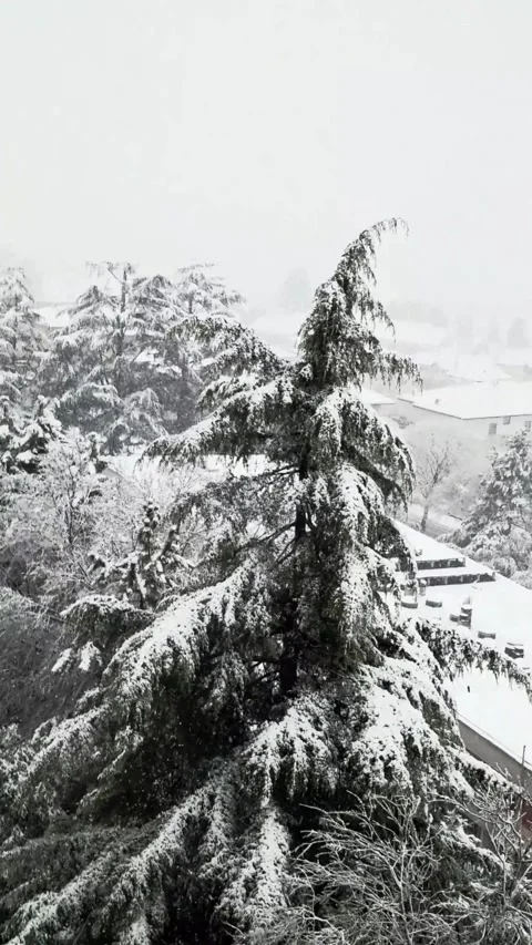 Snowfall on trees and rooftops of the city seen from above Stock Footage 331858291