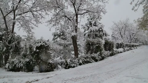 Snowfall on trees and snowy roads left pan Stock Footage 44372690