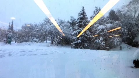 Snowfall on the trees Stock Footage 86361734