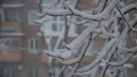Snowfall. trees in snow. anomalous rainfall. houses are swept up Stock Footage 83559358