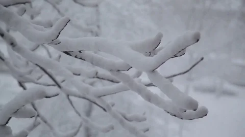 Snowfall. trees in snow. anomalous rainfall. houses are swept up Stock Footage 83753472