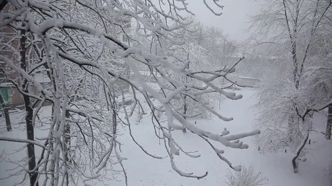 Snowfall. trees in snow. anomalous rainfall. houses are swept up Stock Footage 83753665