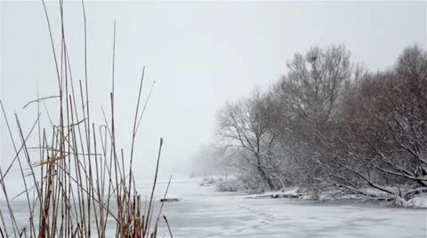 Snowfall on trees,snowfall Video stock 22453506