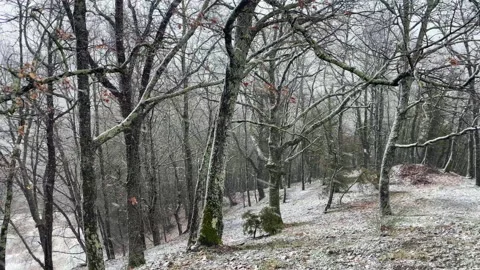 Snowfall in Tuscany Stock Footage 234537663