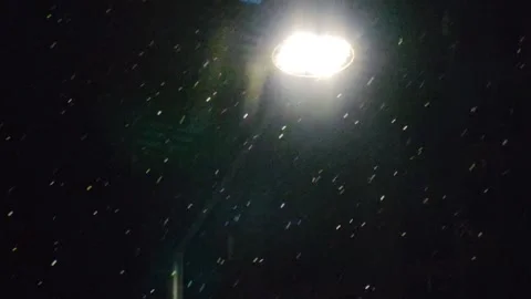 Snowfall under glowing streetlight at night 動画素材 325507818