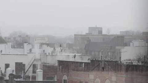 Snowfall in an urban environment Stock Footage 296029611