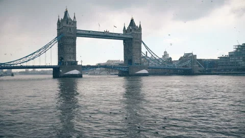 Snowfall. View of the Tower Bridge. Snowy London. Stock Footage 86622781