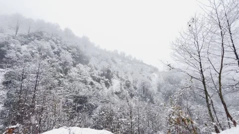 SNOWFALL VIEWS FROM HIGH ON THE MOUNTAIN Stock Footage 301889605