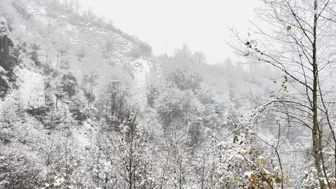 SNOWFALL VIEWS FROM HIGH ON THE MOUNTAIN Stock Footage 301889614