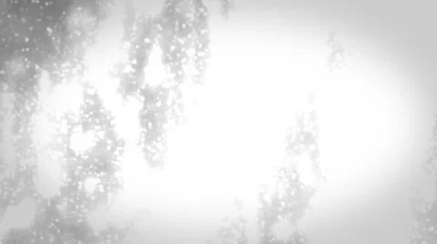 Snowfall. White Stock-Footage 4659649