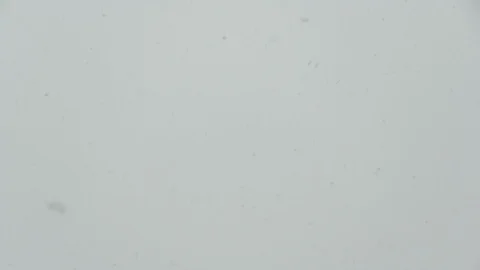 Snowfall on a white sky background. Snow falls from a white sky, snowflakes fly Stock Footage 126779978