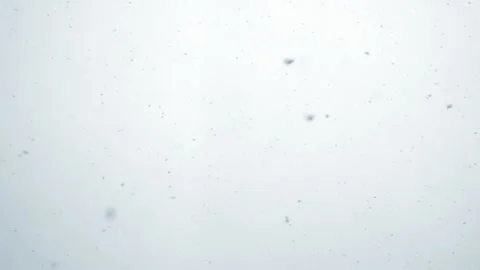 Snowfall in the White Sky HD Pro Stock Footage 87683254