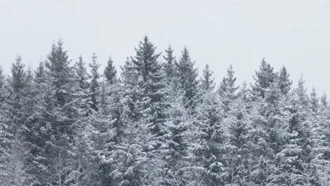 Snowfall on a winter afternoon Stock Footage 147506209
