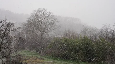 Snowfall in winter Stock Footage 127420696