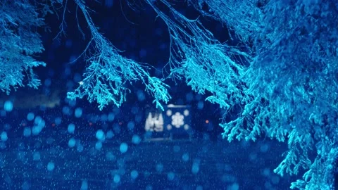 Snowfall winter Stock-Footage 232003822