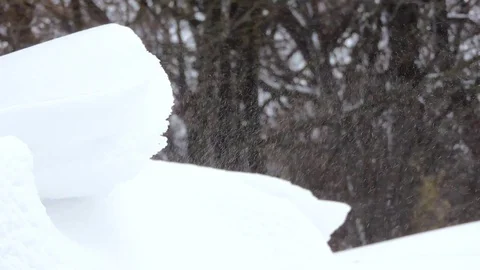 Snowfall in winter in the forest, blizzard, snowstorm Stock Footage 83223156