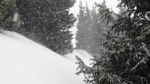 Snowfall in winter in the forest at Christmas time Stock Footage 166032484