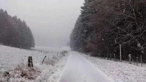 Snowfall in the winter forest Stock Footage 46701406