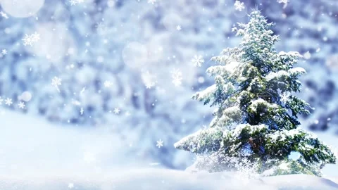 Snowfall in Winter Forest with Pine Tree and Blue Bokeh Background Stock-Footage 320513458