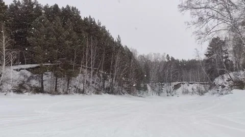 Snowfall in a winter forest on a sunny day. Stock Footage 303274595