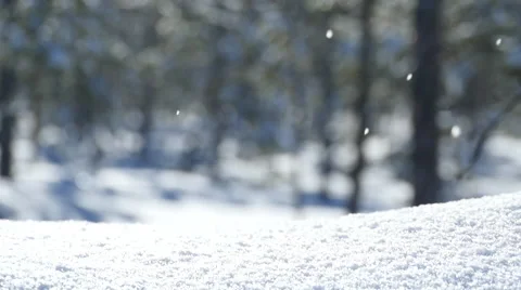 Snowfall in the winter forest sunny Stockbeeldmateriaal 47495248
