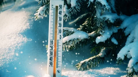 Snowfall in the winter forest, thermometer in the snow Stock Footage 98400895