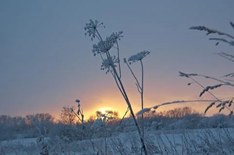 Snowfall Winter landscape. Stock-Fotos