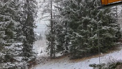 Snowfall in the winter in the mountain forest Stock Footage 295416371
