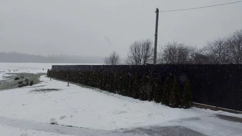 Snowfall in winter in nature against the backdrop of a forest, field and fence Stock Footage 315513547