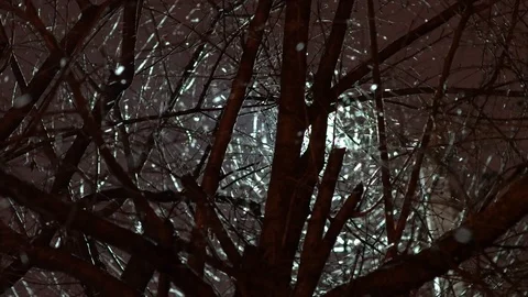 Snowfall in winter night. Stock Footage 99244914