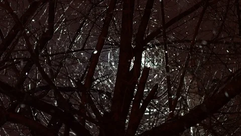 Snowfall in winter night. Stock Footage 99245256