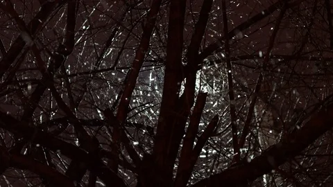 Snowfall in winter night. Stock Footage 99245887