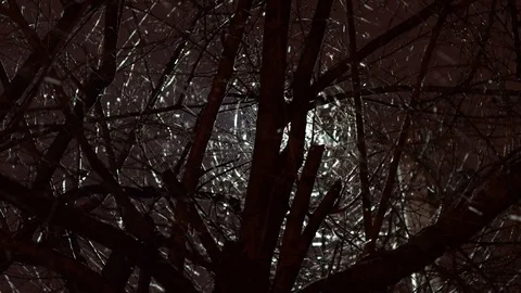 Snowfall in winter night. Stock Footage 99247081