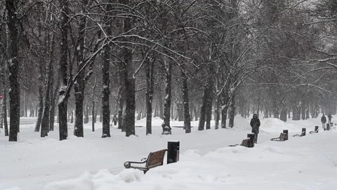 Snowfall winter park Video stock 148274367