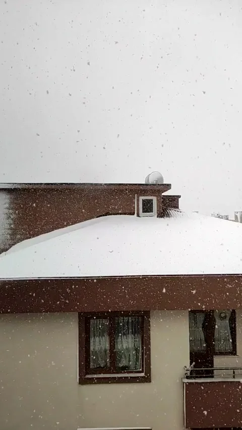 Snowfall in winter in slow motion Stock Footage 218305526