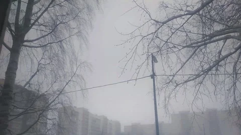 Snowfall winter window Stock Footage 237184856