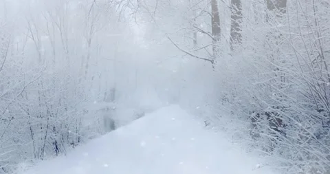 Snowfall in winter in a wooded path along the river - Christmas day with fall Stock-Footage 139442404