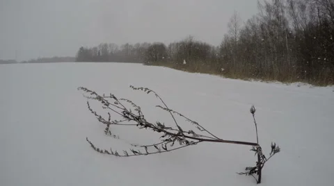 Snowfall in winter's evening, time lapse 4K Stock Footage 58956473