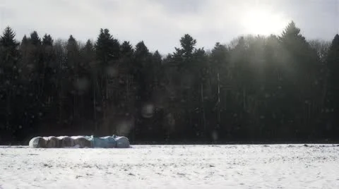 Snowfall#2 動画素材 21316907