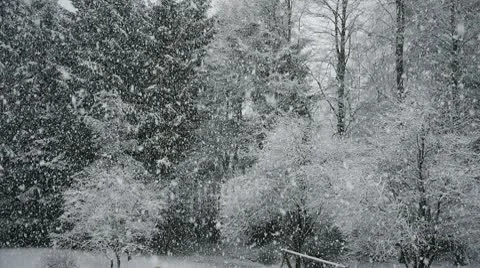 Snowfall_01 Stock Footage 10564773