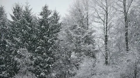 Snowfall_02 Stock Footage 10564578