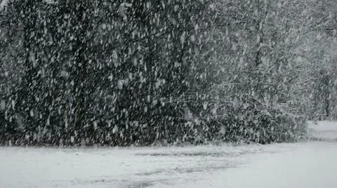 Snowfall_06 Stock Footage 10564687
