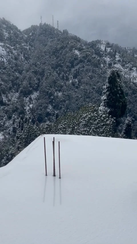 Snowfall@Darjeeling Vidéo 254338836