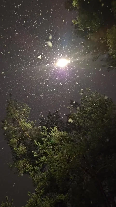 Snowfalling Video stock 297219178